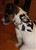 DSC00574.JPG